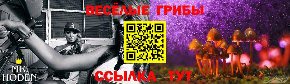 Галлюциногенные грибы ЛСД  Псилоцибиновые грибы ЛСД  Усть-Джегута  Вход с VPN 