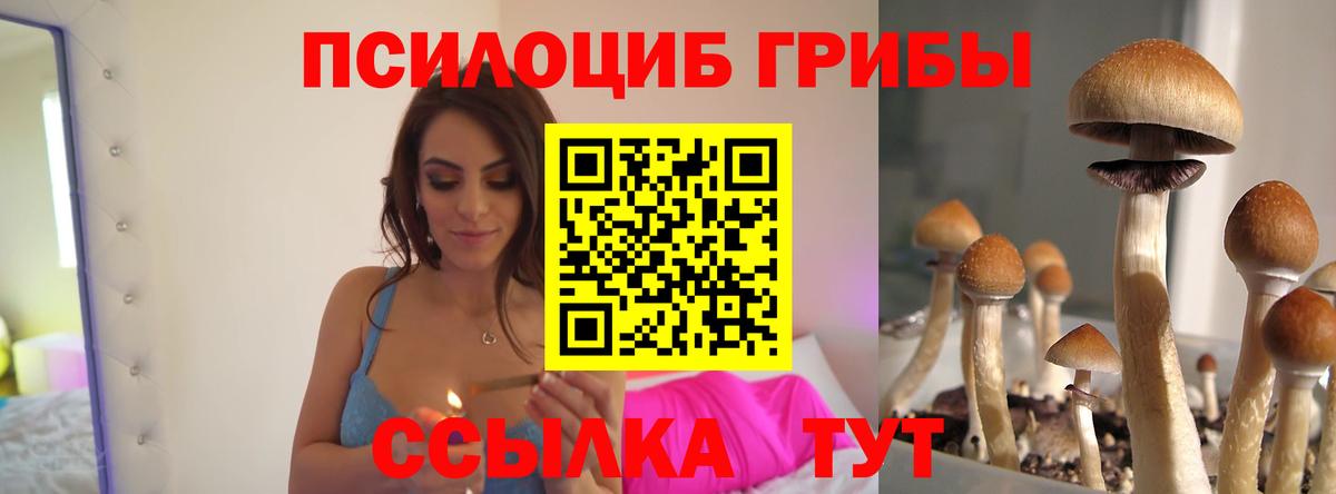 Псилоцибиновые грибы Magic Shrooms Усть-Джегута